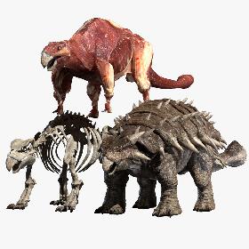 Ankylosaurus Anatomy 3D model